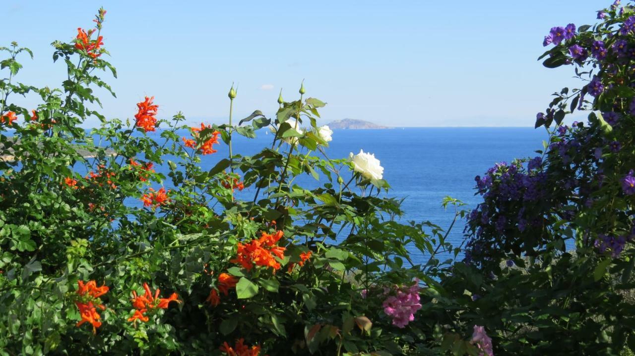 Villa Irini Epidaurus Buitenkant foto